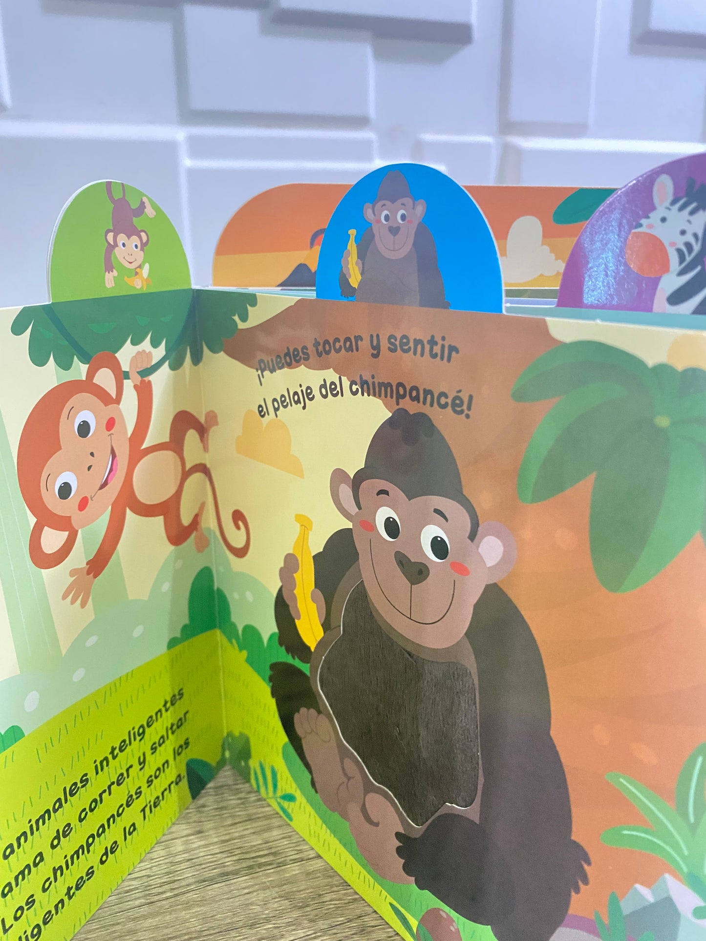 Libro Infantil Exploradores de la Selva con Pestañas y Relieve para Sentir y Tocar