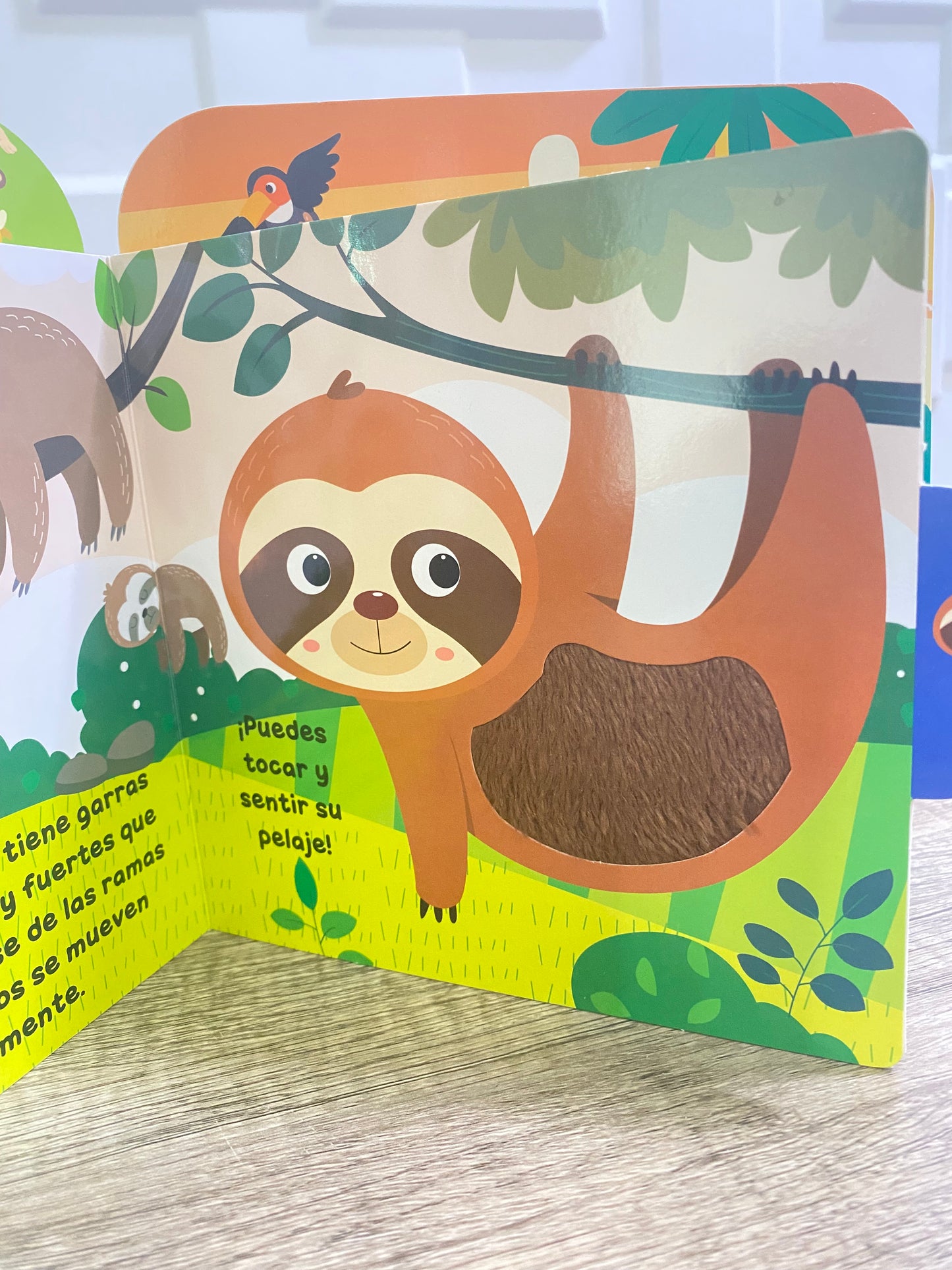 Libro Infantil Exploradores de la Selva con Pestañas y Relieve para Sentir y Tocar