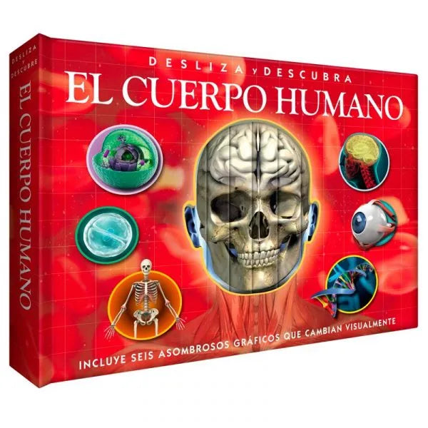 Atlas Ilustrado Interactivo Cuerpo Hunano con Solapas que Cambian de Forma
