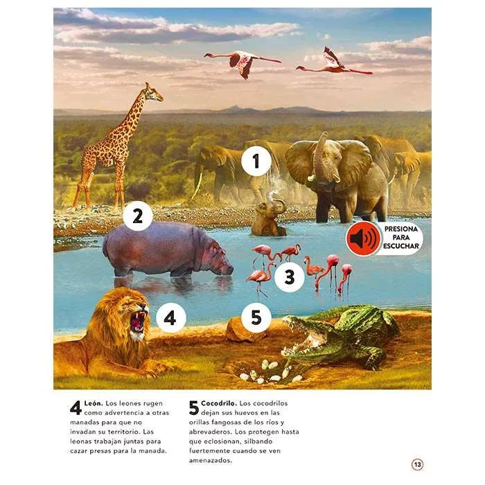 Libro Infantil El Reino Animal con 50 Increíbles Sonidos