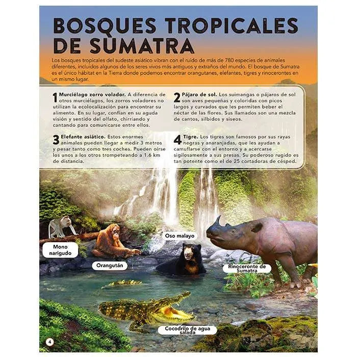Libro Infantil El Reino Animal con 50 Increíbles Sonidos
